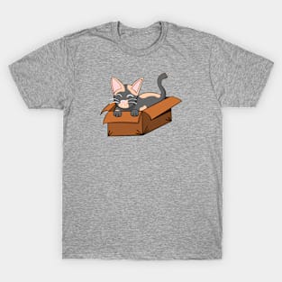 Kitty Kardboard T-Shirt